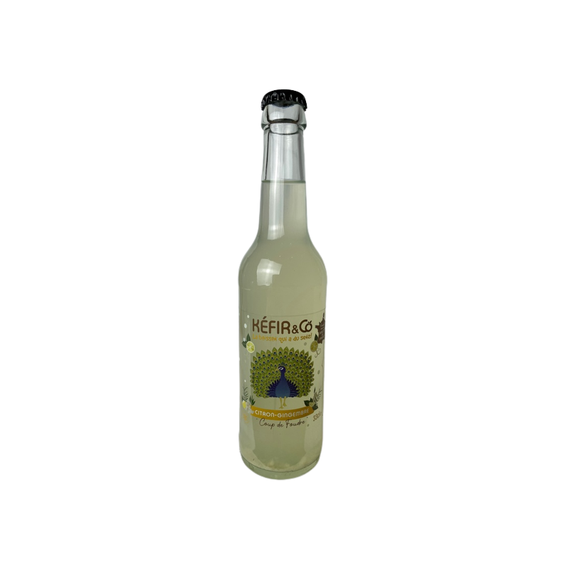 Kéfir de fruits citron gingembre bio 33cl